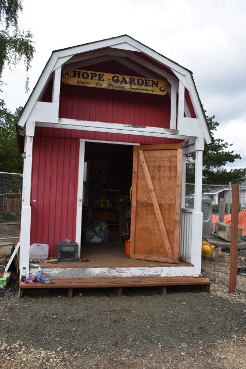 Hope2